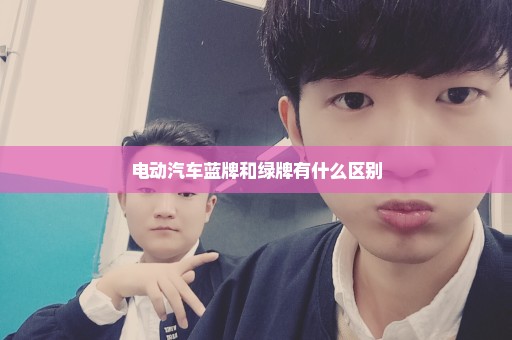 电动汽车蓝牌和绿牌有什么区别