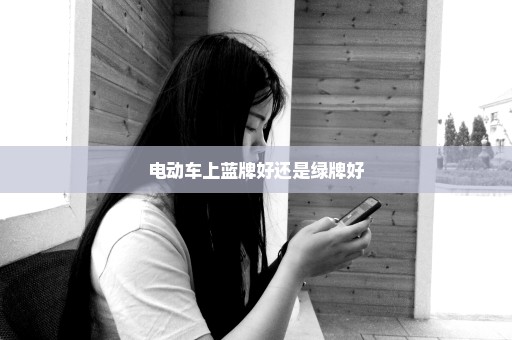 电动车上蓝牌好还是绿牌好