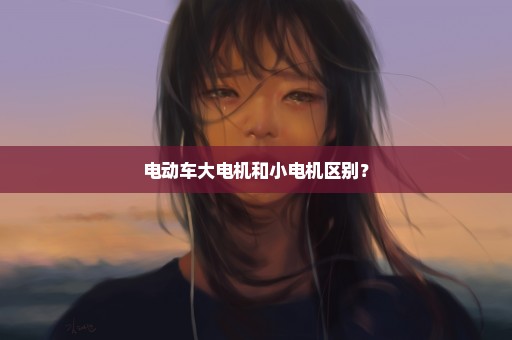 电动车大电机和小电机区别？