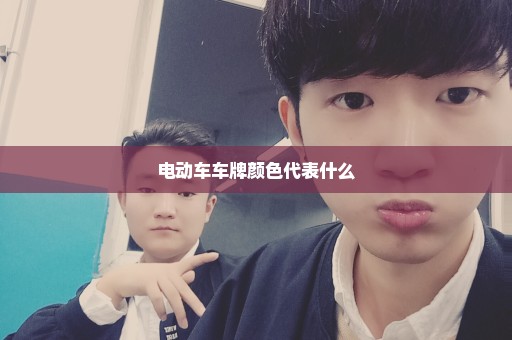 电动车车牌颜色代表什么