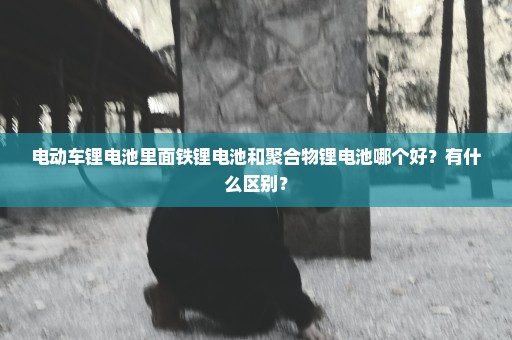 电动车锂电池里面铁锂电池和聚合物锂电池哪个好？有什么区别？