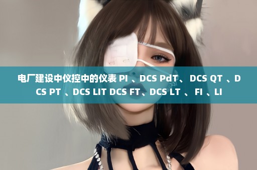 电厂建设中仪控中的仪表 PI 、DCS PdT、 DCS QT 、DCS PT 、DCS LIT DCS FT、DCS LT 、 FI 、LI