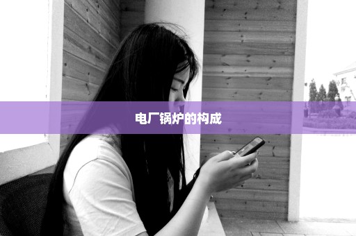 电厂锅炉的构成