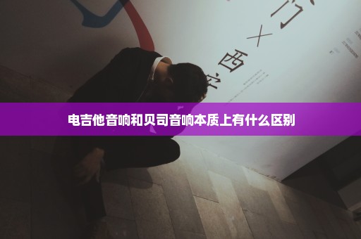 电吉他音响和贝司音响本质上有什么区别