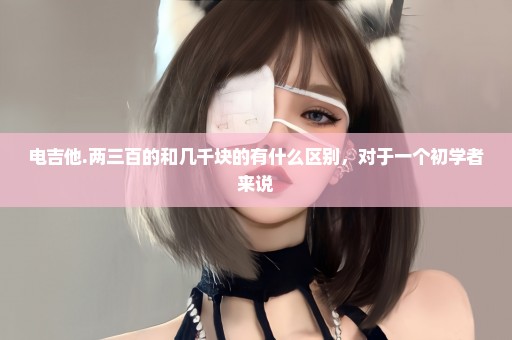 电吉他.两三百的和几千块的有什么区别，对于一个初学者来说