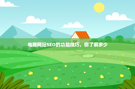 电商网站SEO的功能技巧，你了解多少