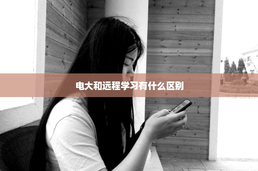 电大和远程学习有什么区别