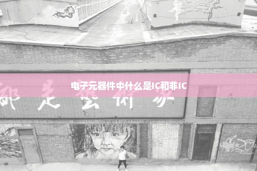 电子元器件中什么是IC和非IC