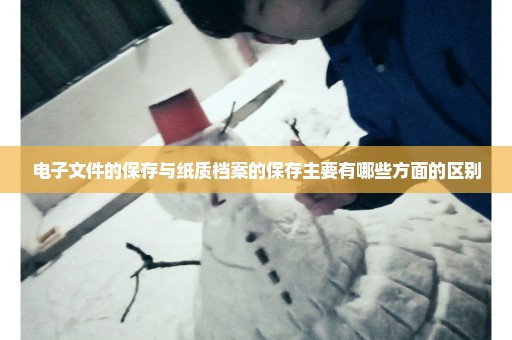 电子文件的保存与纸质档案的保存主要有哪些方面的区别