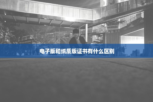 电子版和纸质版证书有什么区别