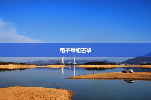 电子琴和古筝