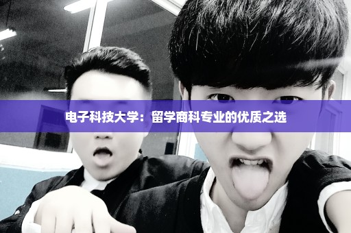 电子科技大学：留学商科专业的优质之选