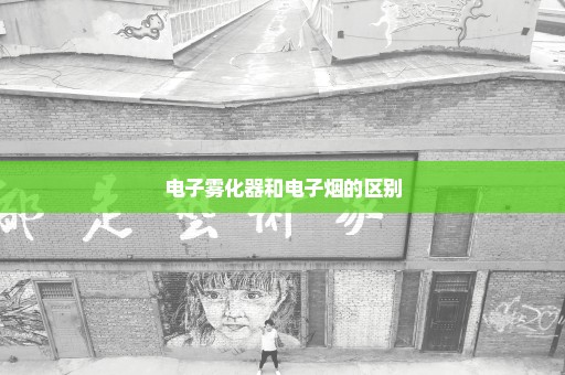 电子雾化器和电子烟的区别