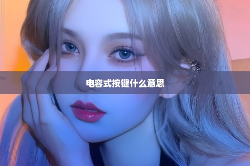 电容式按键什么意思
