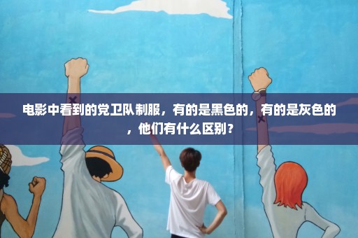 电影中看到的党卫队制服，有的是黑色的，有的是灰色的，他们有什么区别？