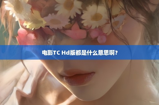 电影TC Hd版都是什么意思啊？