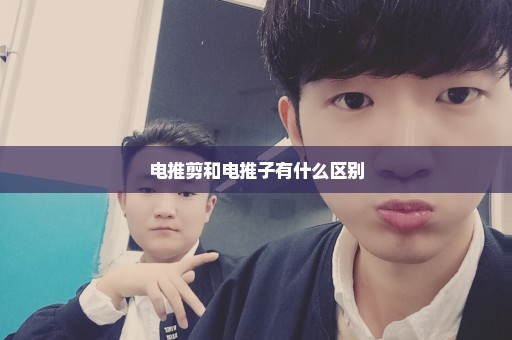 电推剪和电推子有什么区别