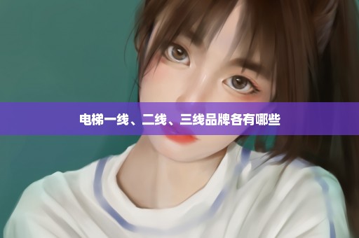 电梯一线、二线、三线品牌各有哪些