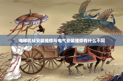 电梯机械安装维修与电气安装维修有什么不同