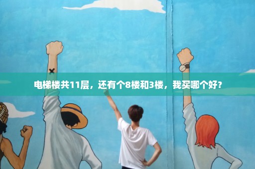 电梯楼共11层，还有个8楼和3楼，我买哪个好？