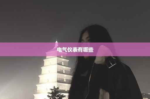 电气仪表有哪些