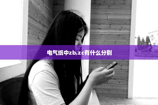 电气纸中zb.zc有什么分别