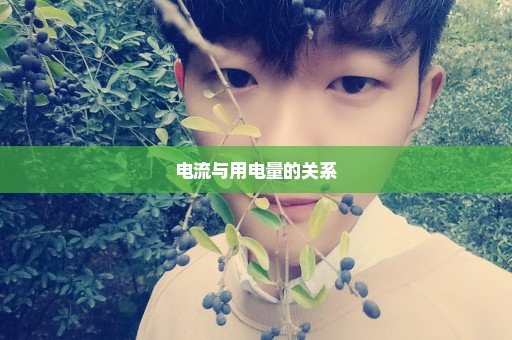 电流与用电量的关系