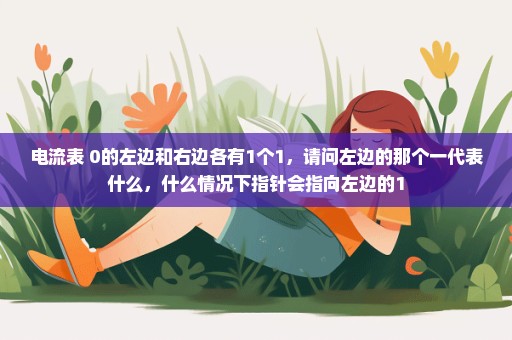 电流表 0的左边和右边各有1个1，请问左边的那个一代表什么，什么情况下指针会指向左边的1