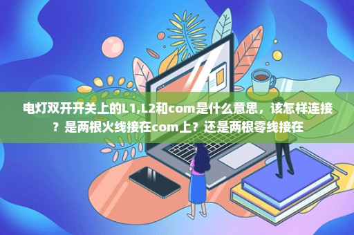 电灯双开开关上的L1,L2和com是什么意思，该怎样连接？是两根火线接在com上？还是两根零线接在