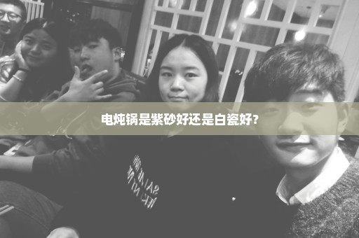 电炖锅是紫砂好还是白瓷好？