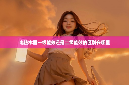 电热水器一级能效还是二级能效的区别在哪里