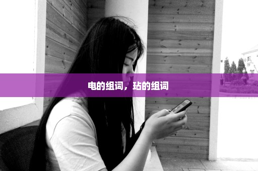 电的组词，玷的组词 