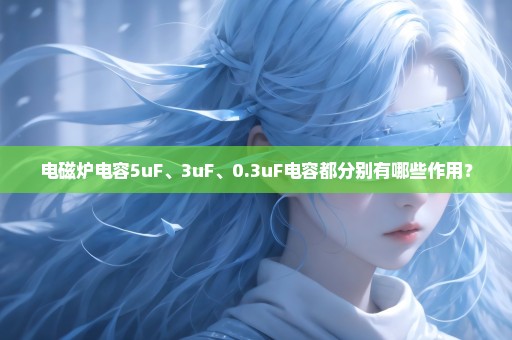 电磁炉电容5uF、3uF、0.3uF电容都分别有哪些作用？