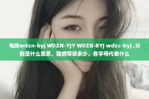 电线wdzn-byj WDZN-YJY WDZB-BYJ wdzc-byj ,分别是什么意思，阻燃等级多少，各字母代表什么