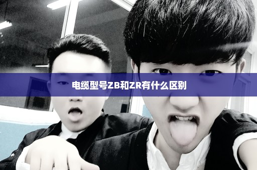 电缆型号ZB和ZR有什么区别