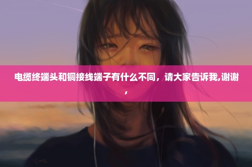 电缆终端头和铜接线端子有什么不同，请大家告诉我,谢谢,