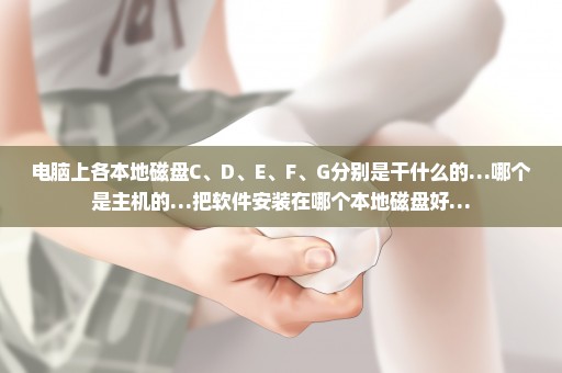 电脑上各本地磁盘C、D、E、F、G分别是干什么的…哪个是主机的…把软件安装在哪个本地磁盘好…