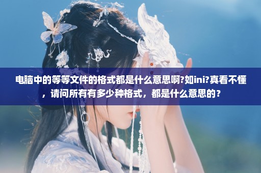 电脑中的等等文件的格式都是什么意思啊?如ini?真看不懂，请问所有有多少种格式，都是什么意思的？