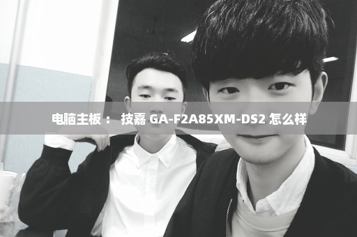电脑主板 ： 技嘉 GA-F2A85XM-DS2 怎么样