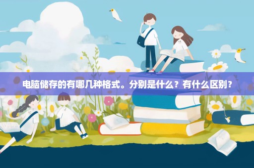 电脑储存的有哪几种格式。分别是什么？有什么区别？