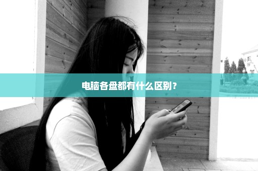 电脑各盘都有什么区别？