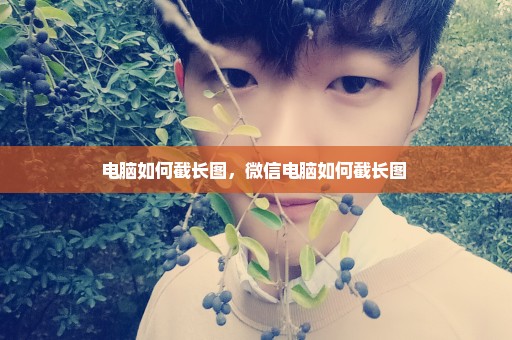 电脑如何截长图，微信电脑如何截长图 