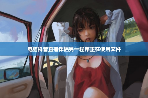 电脑抖音直播伴侣另一程序正在使用文件