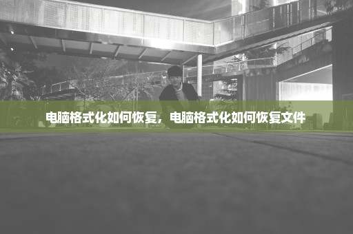 电脑格式化如何恢复，电脑格式化如何恢复文件 