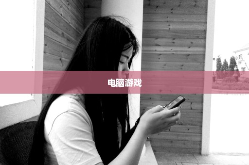 电脑游戏