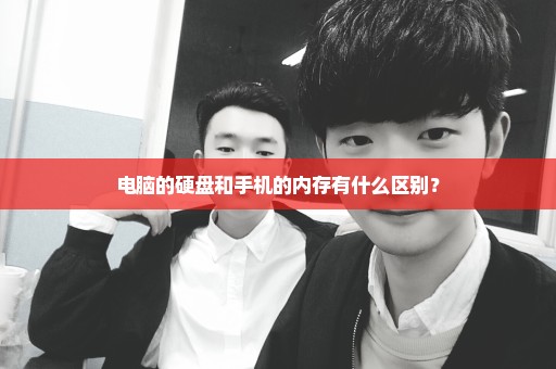 电脑的硬盘和手机的内存有什么区别？