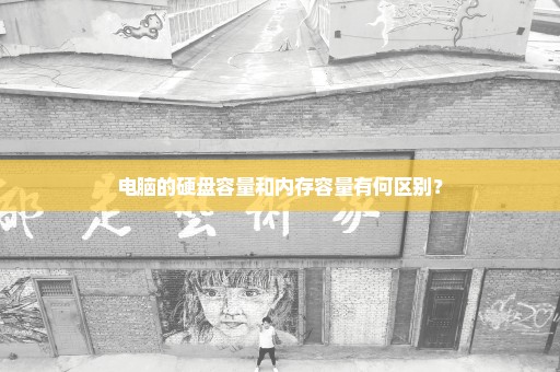 电脑的硬盘容量和内存容量有何区别？