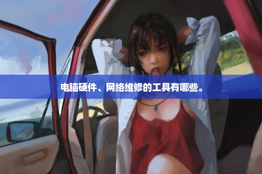 电脑硬件、网络维修的工具有哪些。