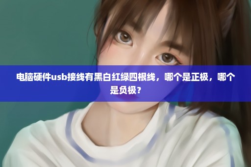 电脑硬件usb接线有黑白红绿四根线，哪个是正极，哪个是负极？