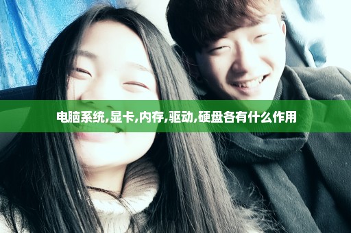 电脑系统,显卡,内存,驱动,硬盘各有什么作用